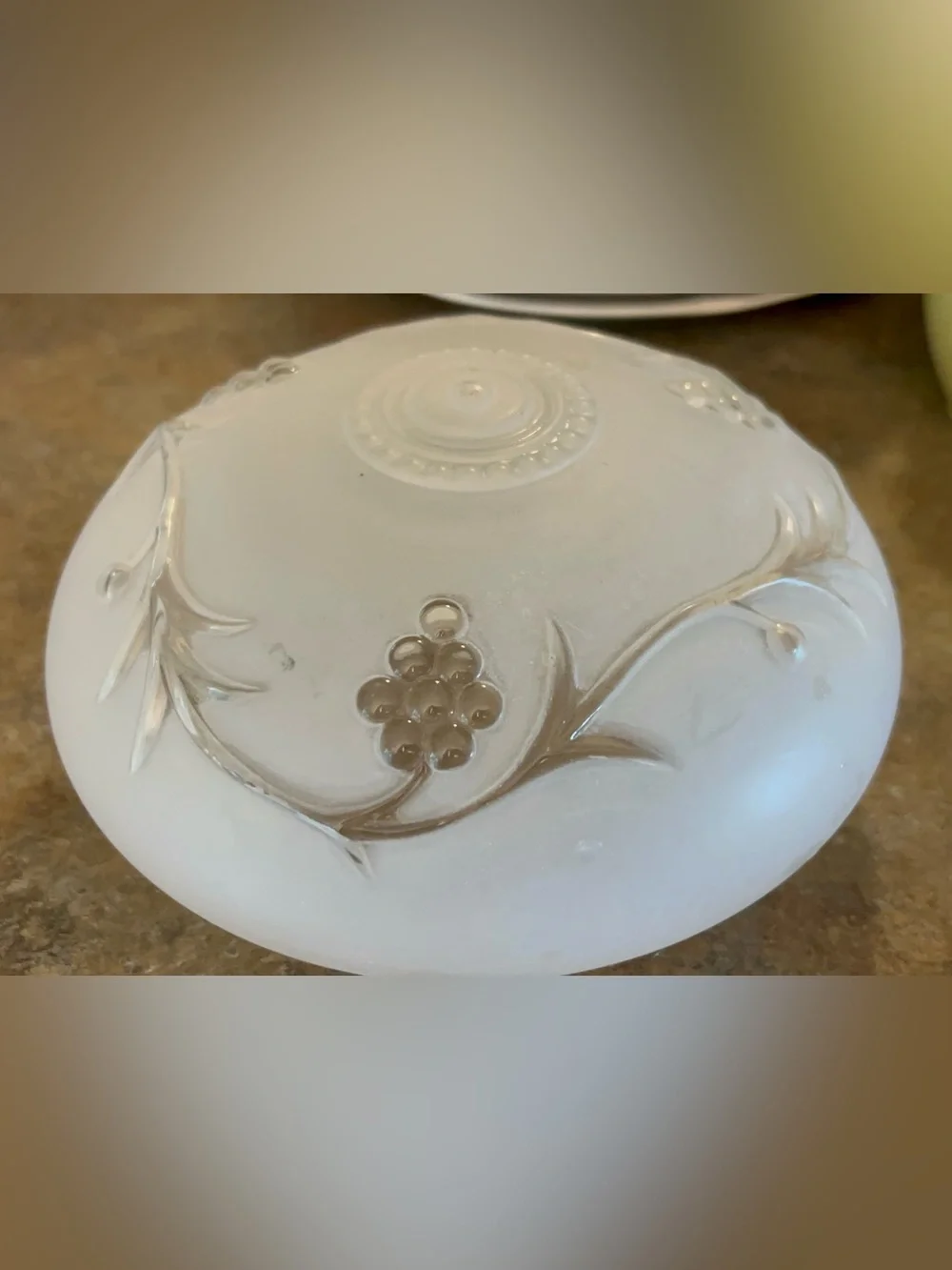 Vintage Frosted Floral and Vine Ceiling Light Fixture Cover